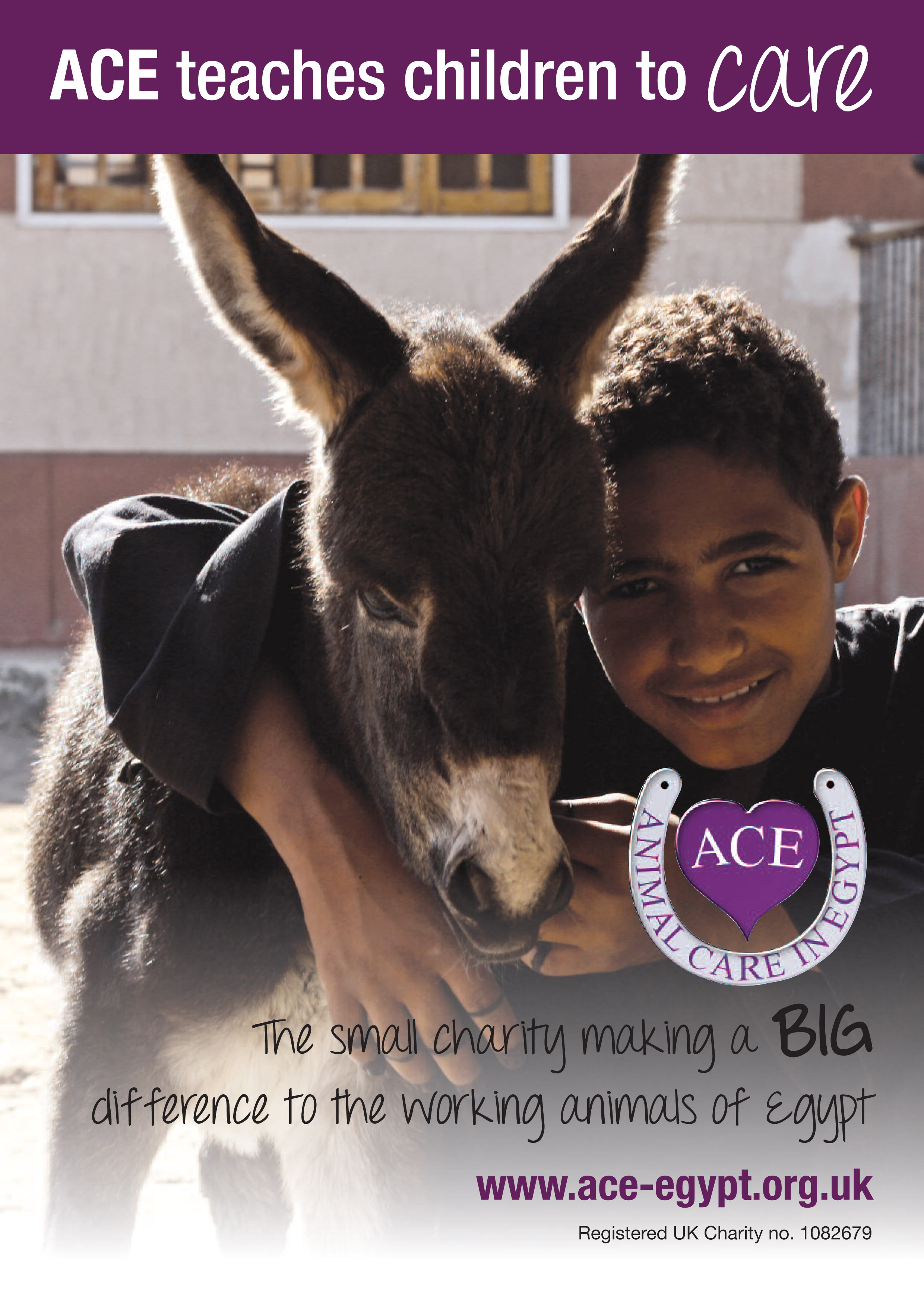 Pet Care Education: Nurturing Happy and Healthy Companions