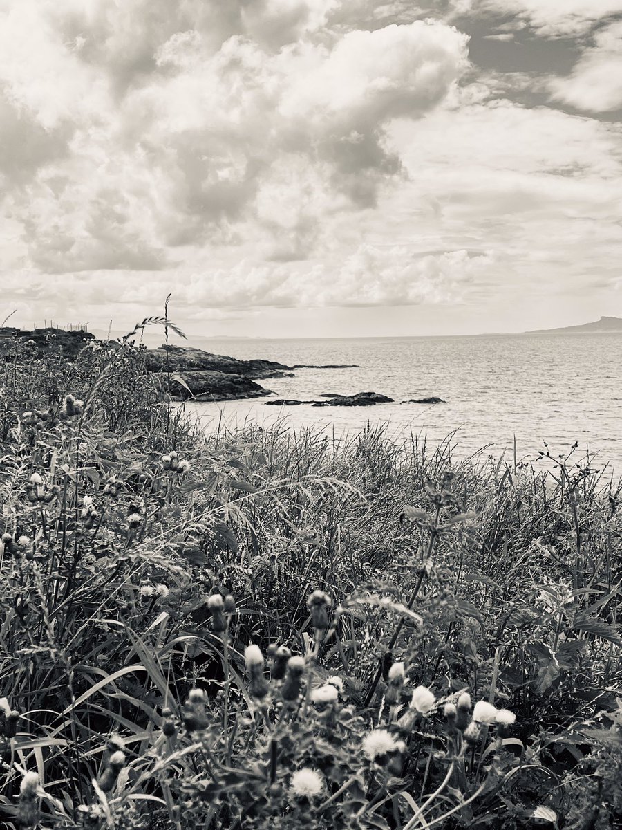 R40JTR's tweet photo. Mallaig, Lochaber, Scottish Highlands a couple of weeks ago 🏴󠁧󠁢󠁳󠁣󠁴󠁿 #scotland #SundayThoughts https://t.co/u7QT1dFSwk