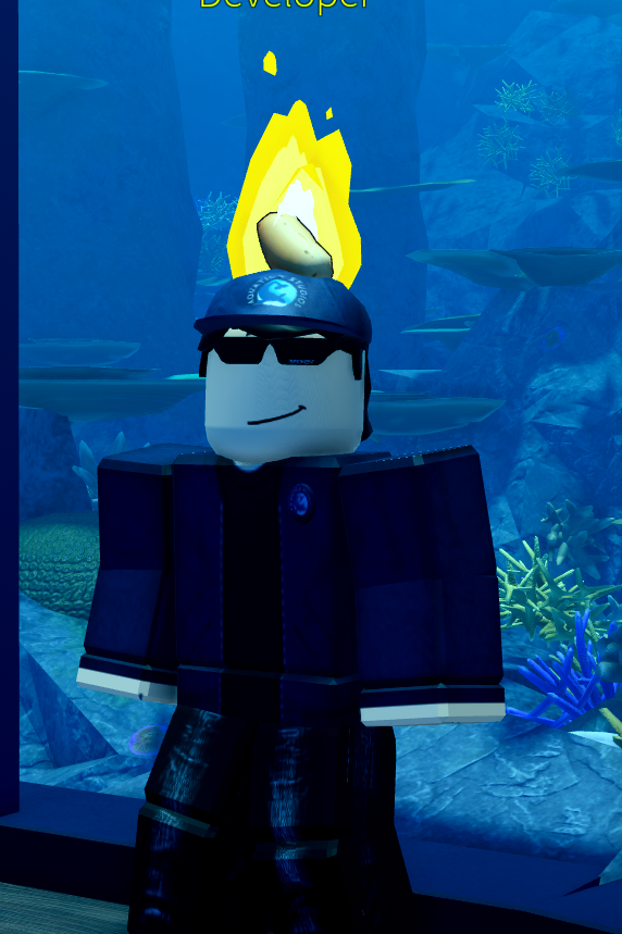 Hot Potato
TO OBTAIN THIS YOU MUST WIN THE HOT POTATO MINIGAME IN FISH MINIGAMES PLAY IT HERE: 

roblox.com/games/11877497…: FREEStock: 2KReleasing in 2 hours Follow: twitter.com/SeaParrotStudi…

#Free #limited #ROBLOX #RobloxUGC #RobloxUGCLimited #RobloxDev