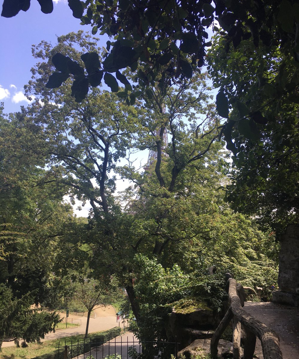 jeannemarie16's tweet photo. 🌿j’aime Paris au mois d’août

Paisible
la ville ressemble
à un jardin ensoleillé 

Un chemin endormi
serpente sous les arbres
la Tour Eiffel observe 

Paris au mois d’août 
appartient aux rêveurs 
amants de la beauté 

Paris ville éternelle 

#TourEiffel #Paris
#JardinsTrocadero https://t.co/HZh5cFBy7k