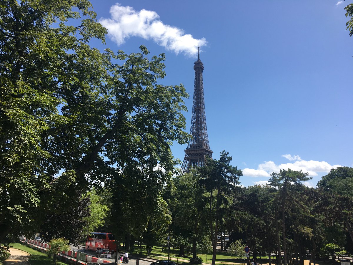 jeannemarie16's tweet photo. 🌿j’aime Paris au mois d’août

Paisible
la ville ressemble
à un jardin ensoleillé 

Un chemin endormi
serpente sous les arbres
la Tour Eiffel observe 

Paris au mois d’août 
appartient aux rêveurs 
amants de la beauté 

Paris ville éternelle 

#TourEiffel #Paris
#JardinsTrocadero https://t.co/HZh5cFBy7k