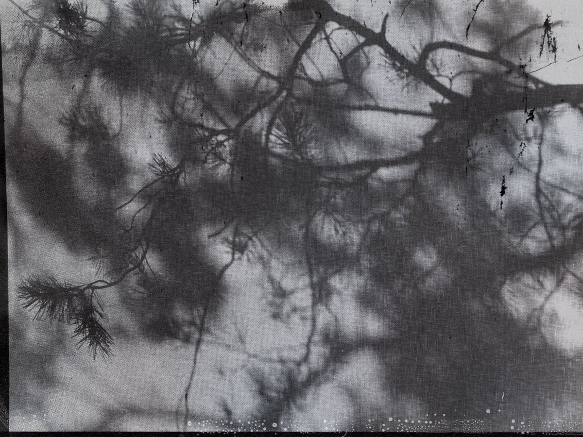 Mat (@mat__nova) on Twitter photo in case you didn't know, the <a href="/photezNFTs/">Photez ~ Photographers of TEZ</a> community has recently minted their latest thematic collection - Shadows
I am happy to own these two beautiful pieces from the collection
'swaying in the wind' by <a href="/zosphotos/">zo 👻</a>
&
'Coniferous Fleur' by <a href="/mrystark/">Mary Stark</a> in case you didn't know, the <a href="/photezNFTs/">Photez ~ Photographers of TEZ</a> community has recently minted their latest thematic collection - Shadows
I am happy to own these two beautiful pieces from the collection
'swaying in the wind' by <a href="/zosphotos/">zo 👻</a>
&
'Coniferous Fleur' by <a href="/mrystark/">Mary Stark</a>