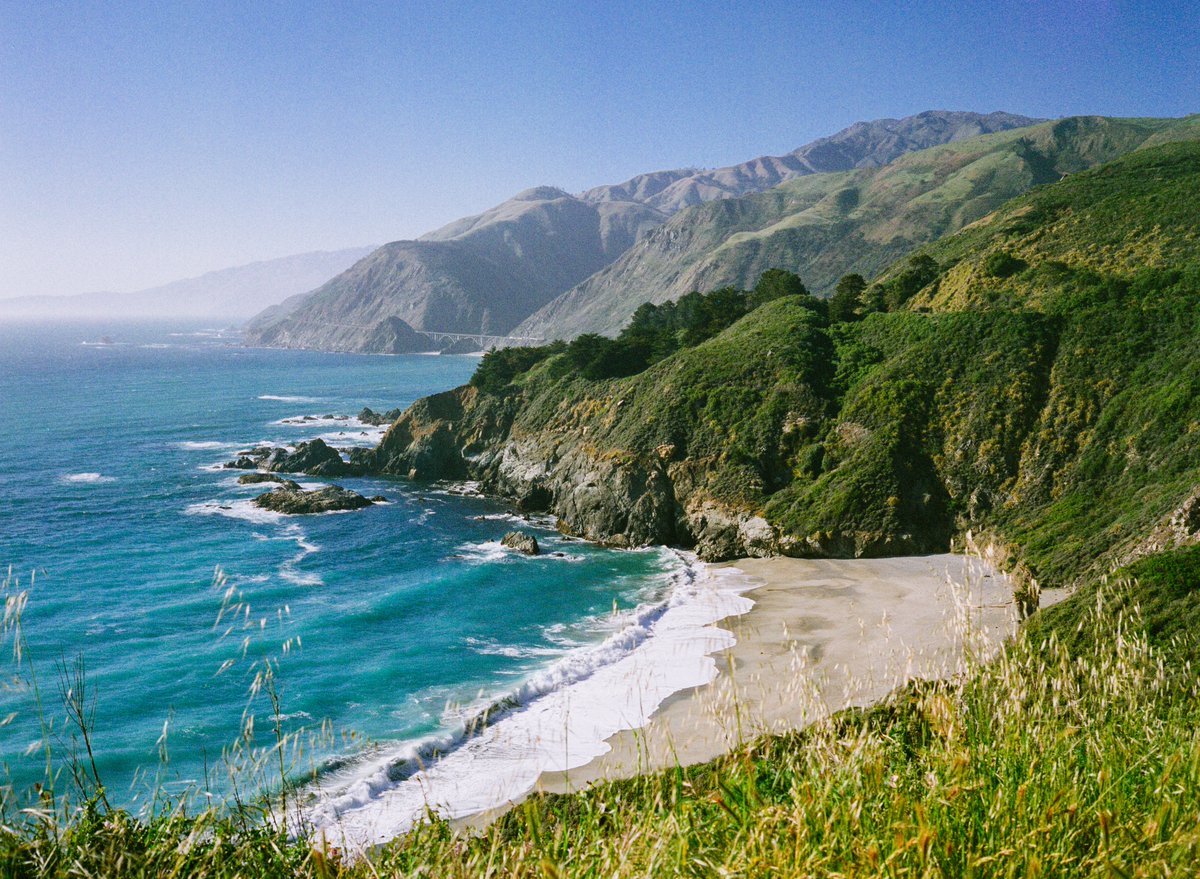 eamonsphotoss's tweet image. summer colors on 35mm film