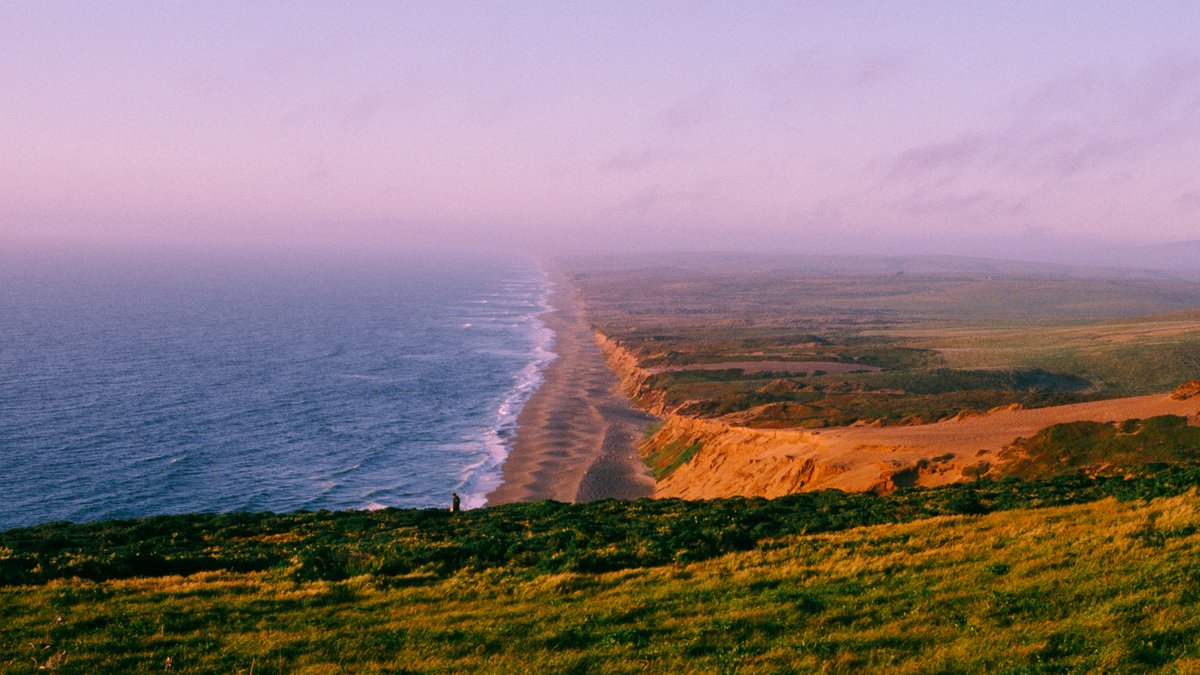 eamonsphotoss's tweet image. summer colors on 35mm film