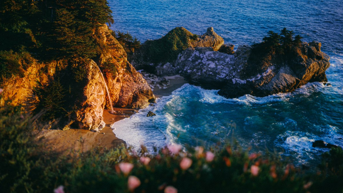 eamonsphotoss's tweet image. summer colors on 35mm film