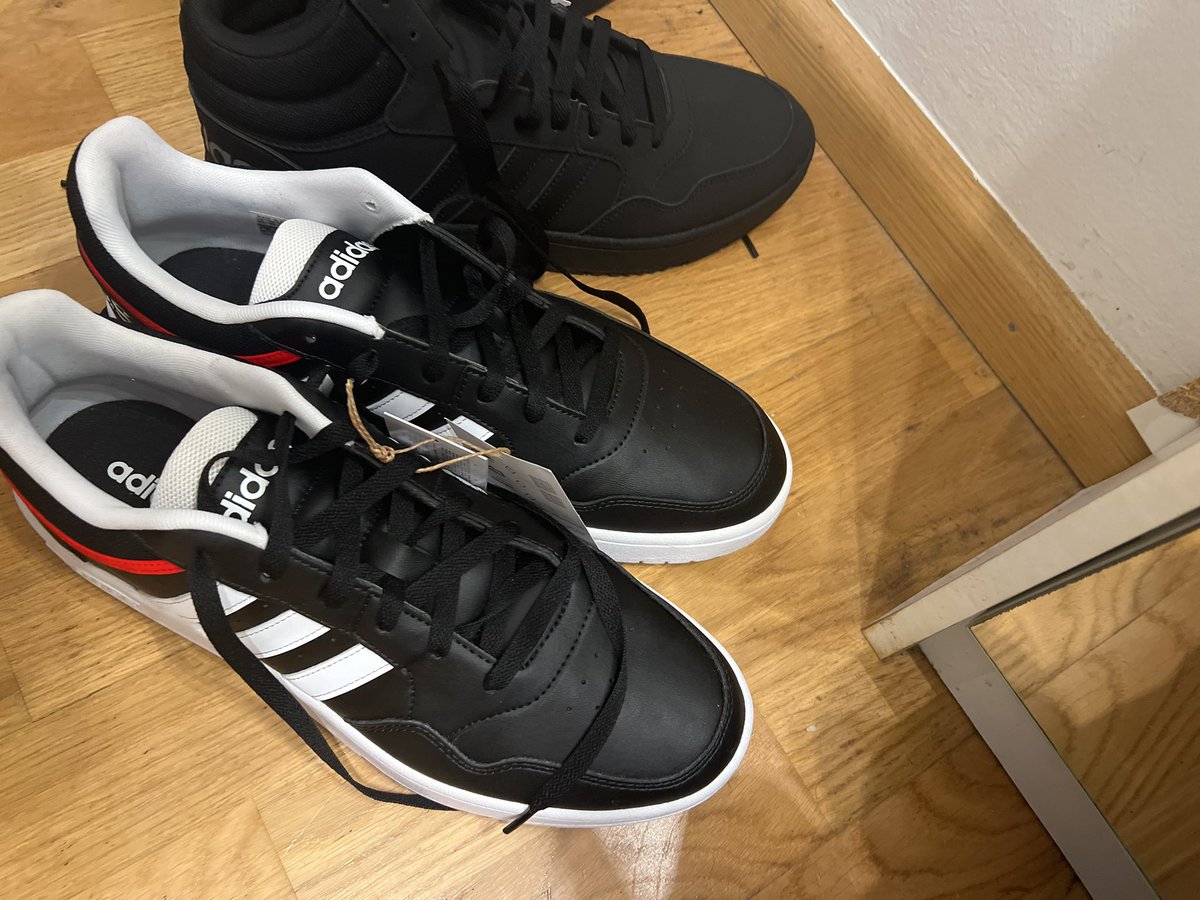 pupbacu's tweet photo. Jay new Shoes for this puppy🥰🥰 https://t.co/e5MLc4LSTs