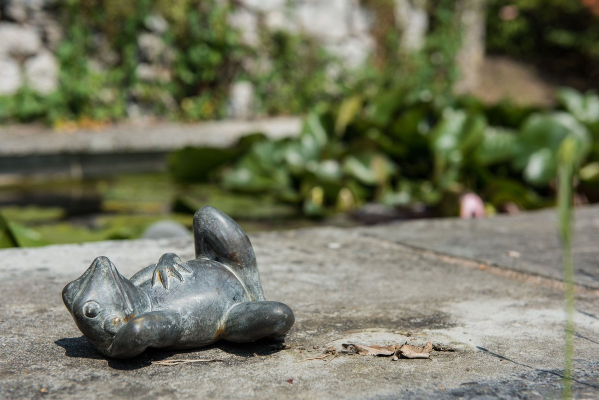 Get a wriggle on-your Sunday: visit the historic town of #Whitehaven &amp; our NEW garden HOLLY HOUSE or visit the lovely town of #grangeoversands &amp; the totally tropical garden at YEWBARROW HOUSE #cumbria #visitagarden Go to the website for details