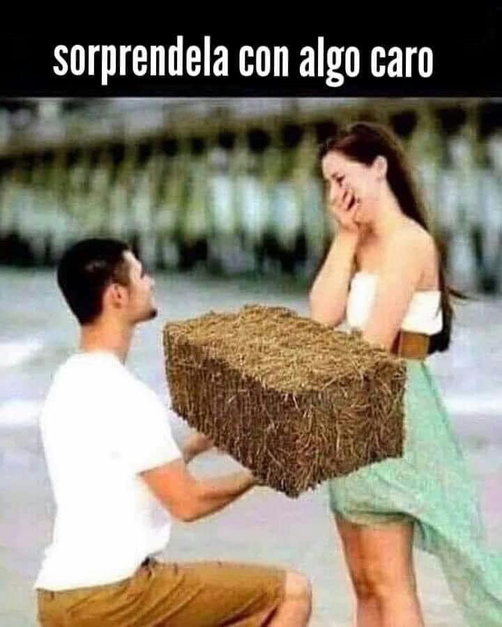 xabieriraola's tweet photo. #agrohumor #baserrikotxantxa https://t.co/uWmPWOgZl0