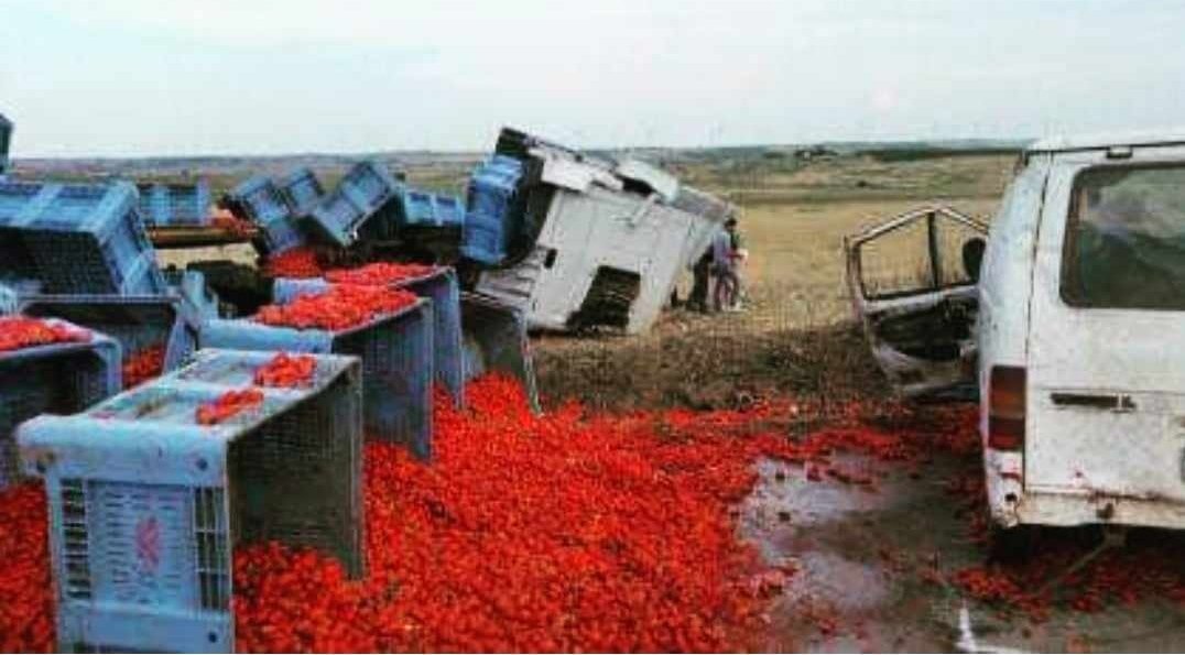 𝗣𝗼𝗺𝗼𝗱𝗼𝗿𝗼 𝗿𝗼𝘀𝘀𝗼 𝘀𝗮𝗻𝗴𝘂𝗲

Basta con i #furgoni della morte! 

Il 6 e il 12 agosto 2018, dodici braccianti tra cui:

Aladjie Ceesay (23 anni)
Ali Dembele (30 anni)
Amadou Balde (20anni)
Moussa Kande (27anni)
Lhassan Goultaine (39anni)
Alasanna Darboe (28anni) (1/3)