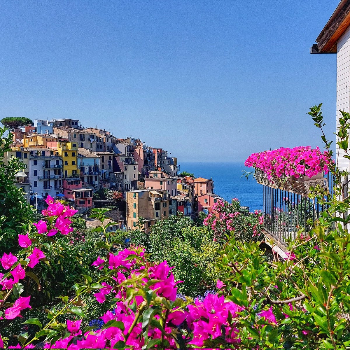 max_ugliarolo's tweet photo. Corniglia è l'unica delle Cinque Terre ad non avere l'accesso al mare, arroccata su un'altura di 90 metri d'altezza è raggiungibile con una scalinata di 377 gradini, da cui si gode lo spettacolo del mare.
#BuongiornoATutti #BuonaDomenica #corniglia https://t.co/9Pw47bbbeq