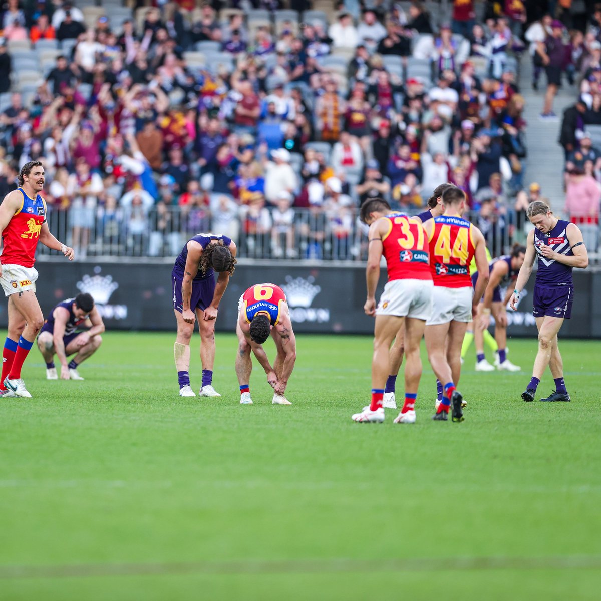 freodockers tweet picture