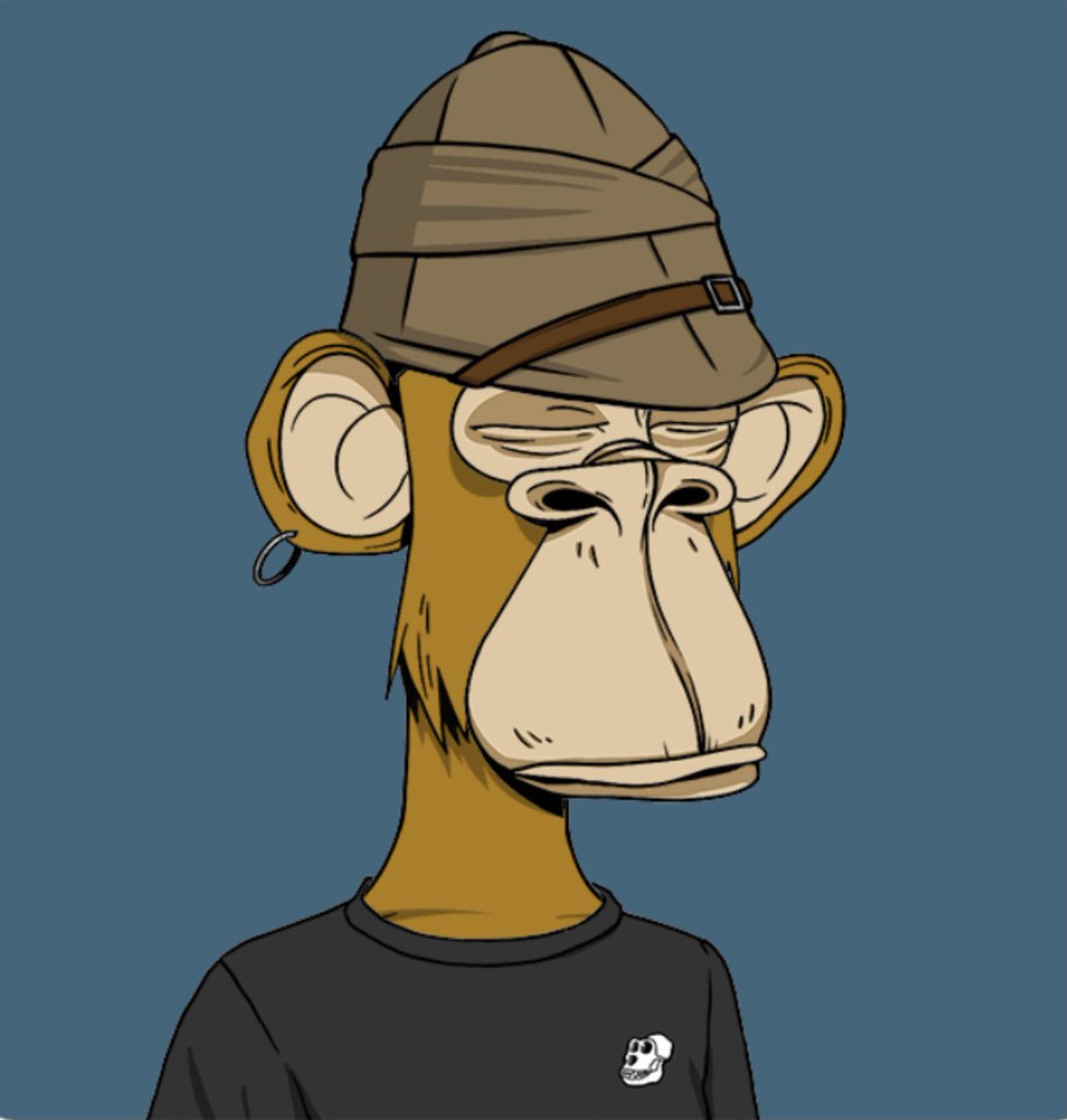 There’s only one Bored Ape Yacht Club