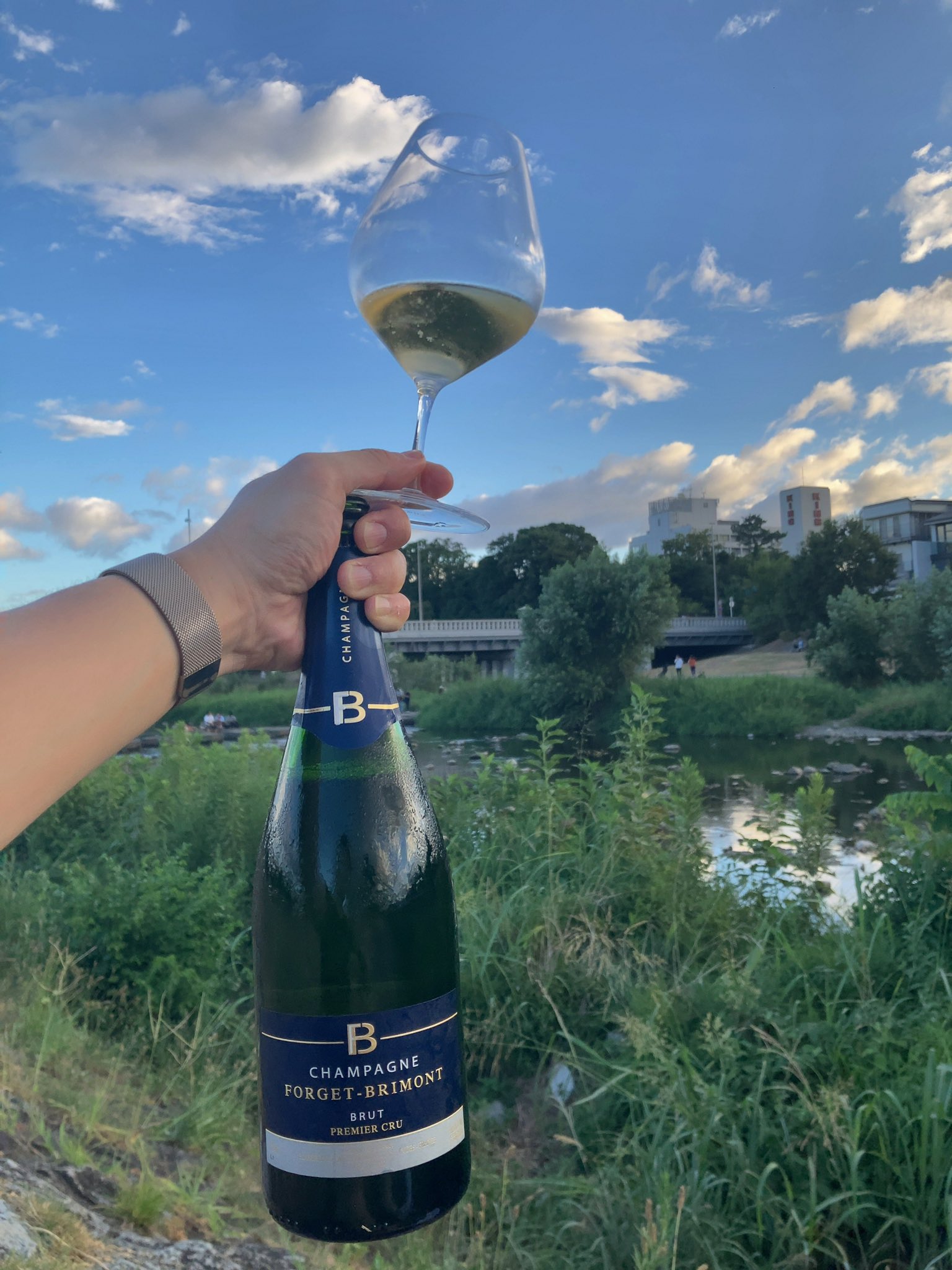 piro (@piro_vin) / X