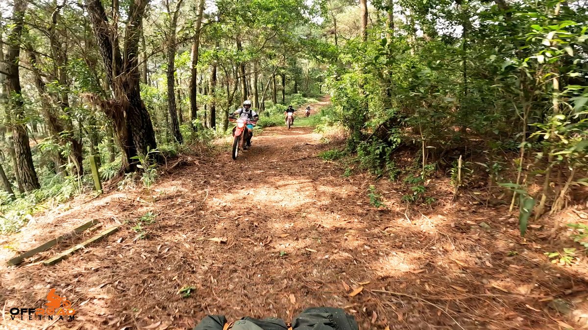 vietnambikers1's tweet photo. Jungle motorbiking requires assistance from other riders, as you don't know what's waiting for you. 🥸
📲 https://t.co/jgJ2tszVK2
#junglemotorbiking #junglefootpaths #groupriding #vietnam #xuhuong2023 #trending2023 #motorbike #tour #rental #honda #XR250 #XR150 #CRF300L #CRF250L https://t.co/WZITganZAP