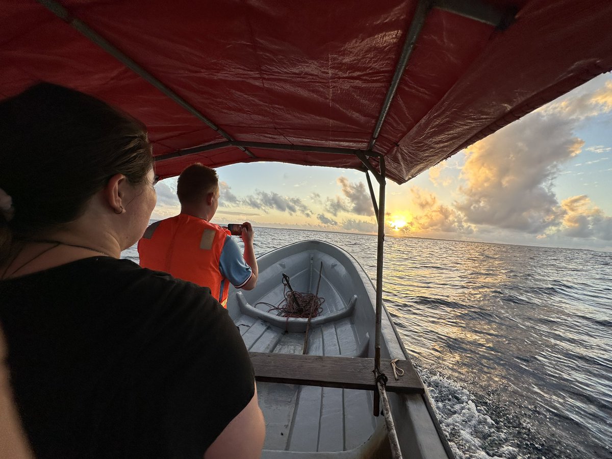 Dr Alexander Georgiev tweet media