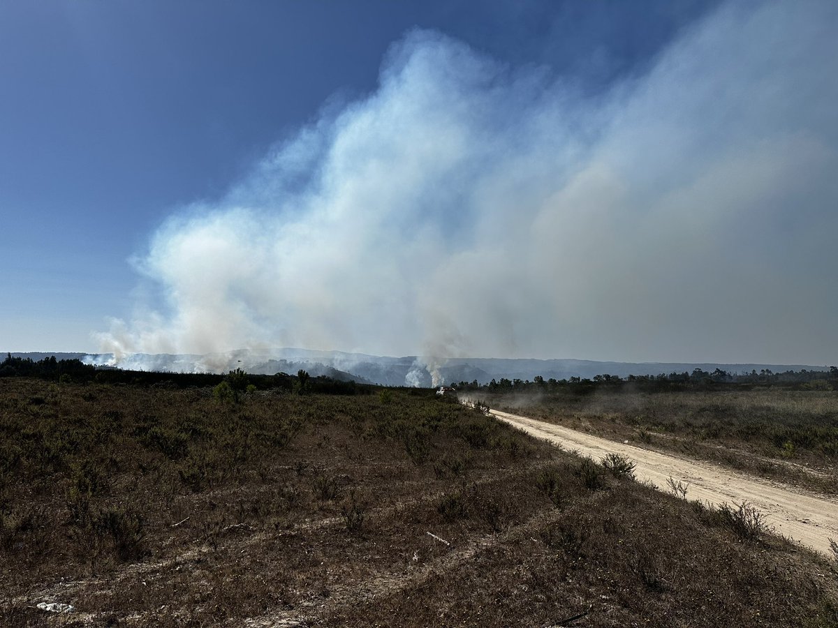 Customer_First_'s tweet image. #IROdemira less smoke. Pictures taken N120 near Brejao junction #Portugal #IncendioForestal #fogo #baiona