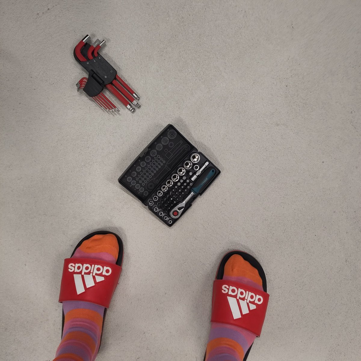 schreibgarten's tweet image. (84) Gibt es eigentlich dieses Projekt @joinmastodon noch und wenn ja, wie fühlt es sich an, als Community im Vergleich zum sozialen Netz X oder Y? #Unfrage #nurso #Schleichwerbung  #ausaktuellemAnlass  #Aurora #icarus 👇🫶🐦🪃🪂 #postpandemics #Alternativen #politics @absinthe