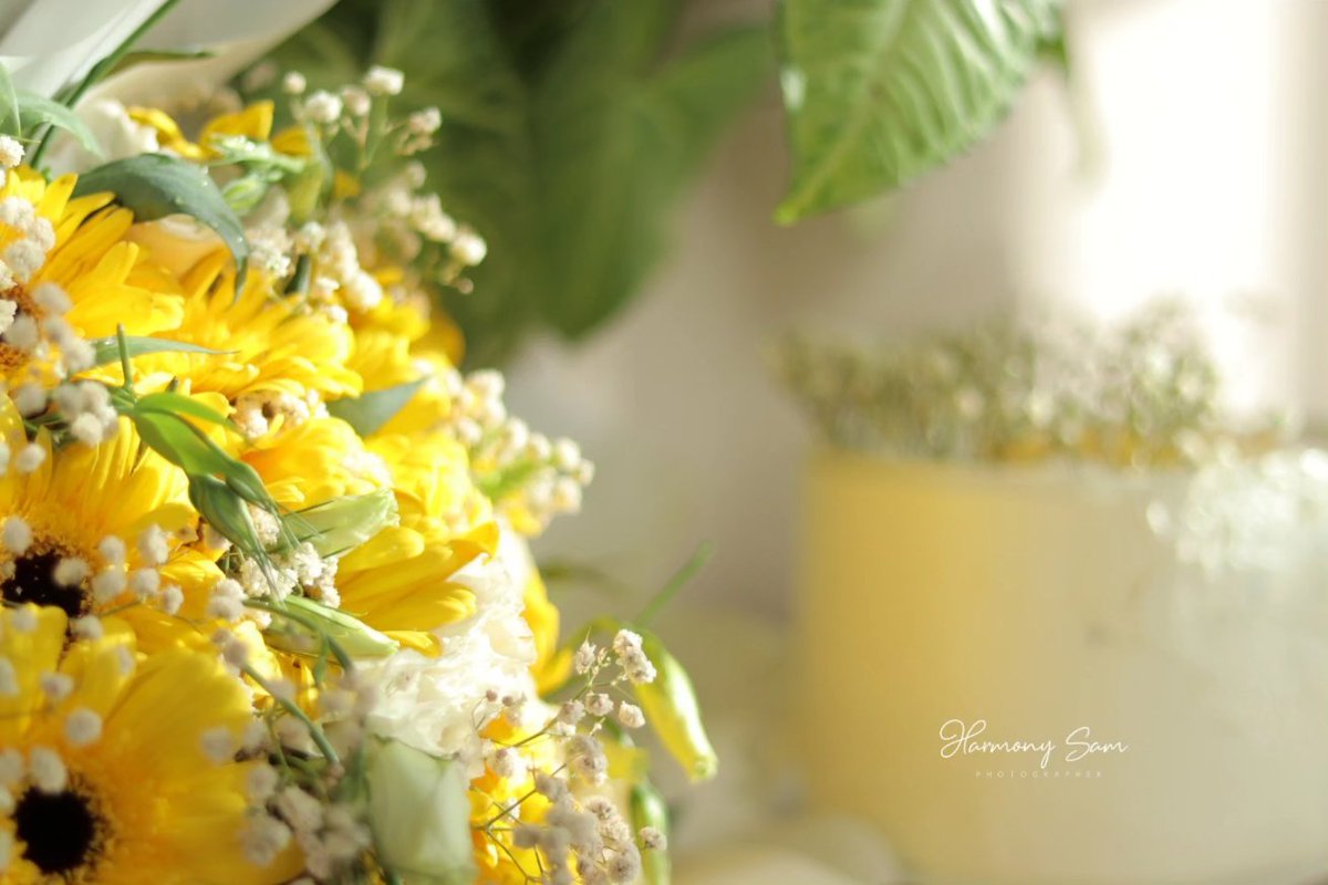 emansamawi's tweet photo. My birthday 💛🌼🍃🌿🌻
. 
#4August
#Sanaa 
#Yemen 
#rain https://t.co/zOjzG3LLdU