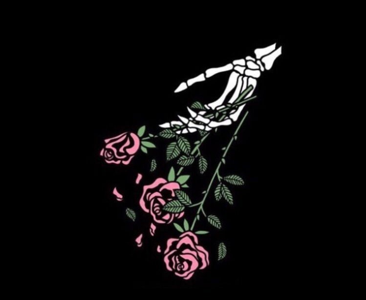 Tabitha Lloyd tweet media