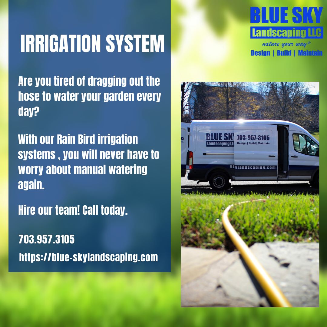 Keep your lawn lush and green with our irrigation services. Let our experts customize a system for your property. 
Don’t wait, call us today for a free consultation.  
☎️703 957-3105 🌐blue-skylandscaping.com/irrigation-ser…

#irrigationsystem #lawncare #landscapelovers