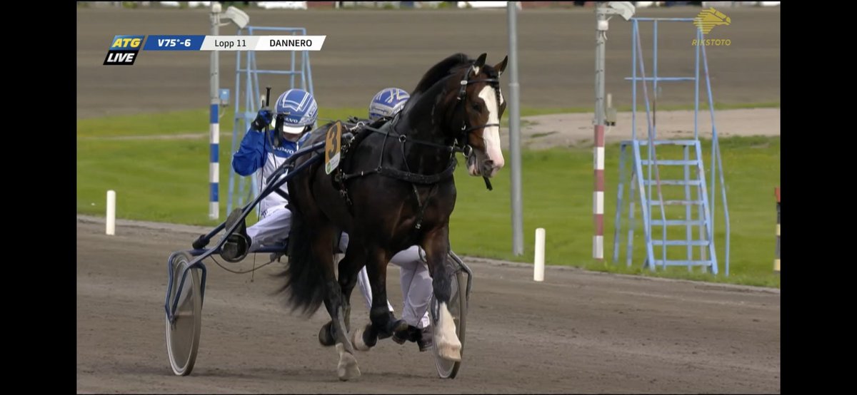 Fineste på Dannero! For en hest 🥹🌟🫶🏼