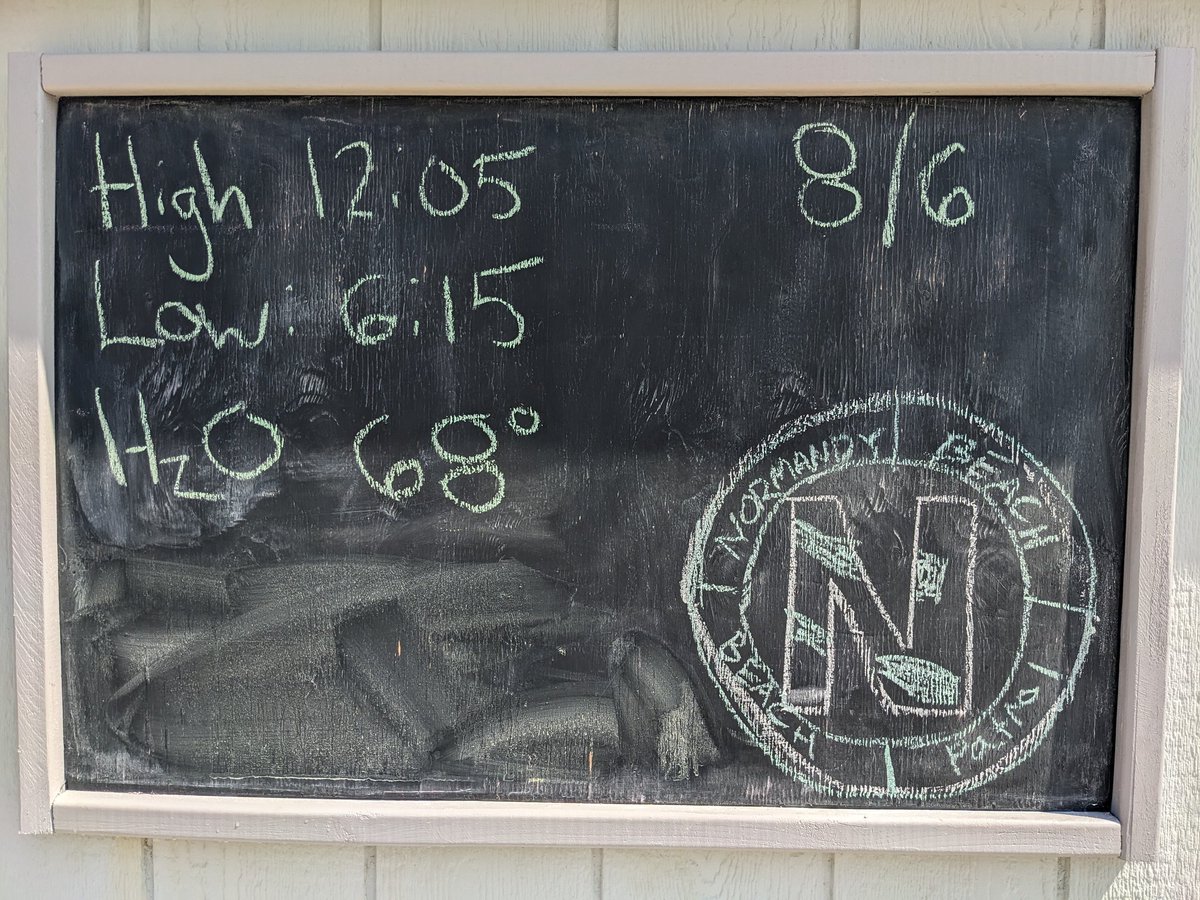 NBBPlifeguards tweet media