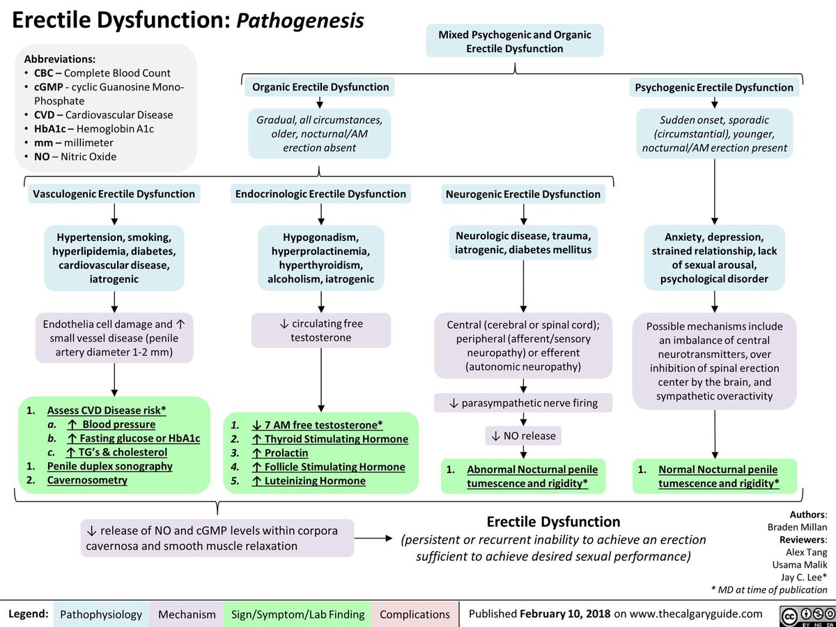 AdvReproduction's tweet photo. Erectile Dysfunction: Pathogenesis

@thecalgaryguide #ErectileDysfunction #MedEd #MedTwitterSelective #MedTwitter #SciComm #AcademicTwitter #health #healthylifestyle #healthcare https://t.co/HwVyFG23np