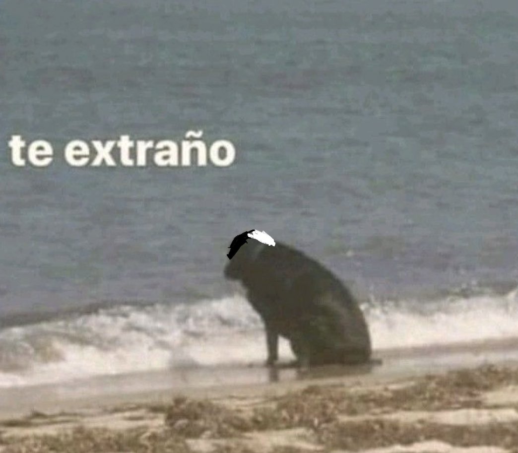 axonerz's tweet photo. Amanecimos tristes https://t.co/14Cc4odpSX