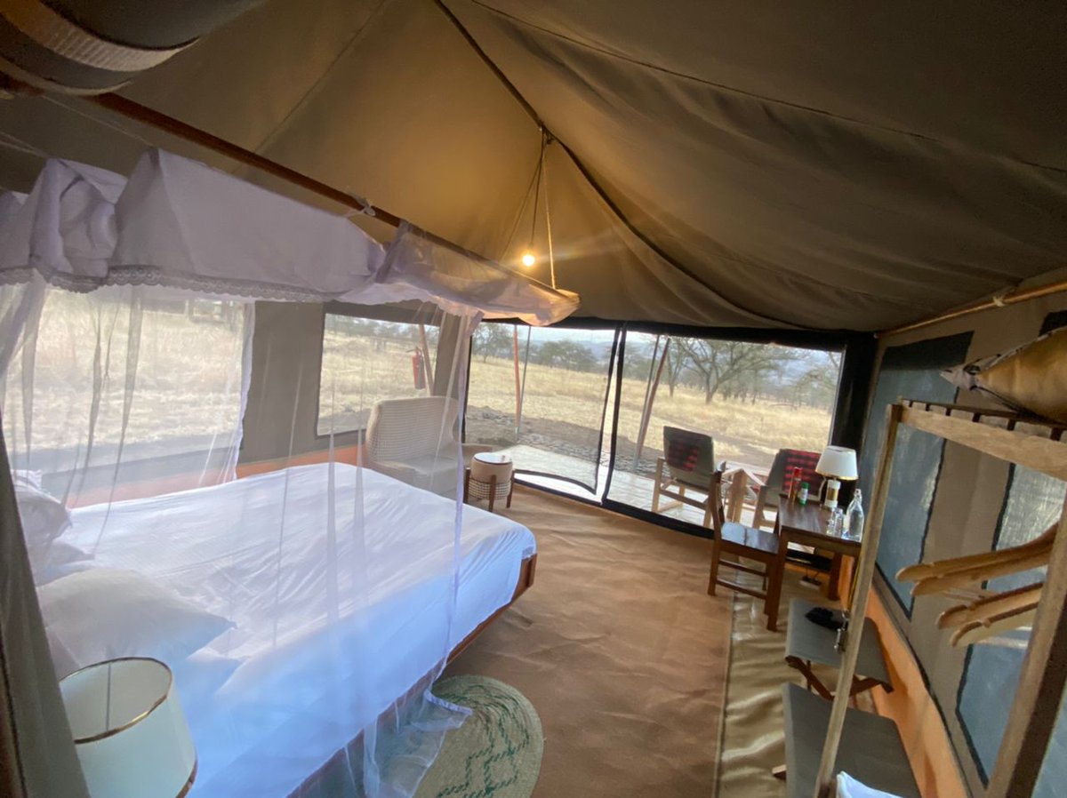 Golden Safari Camps tweet media
