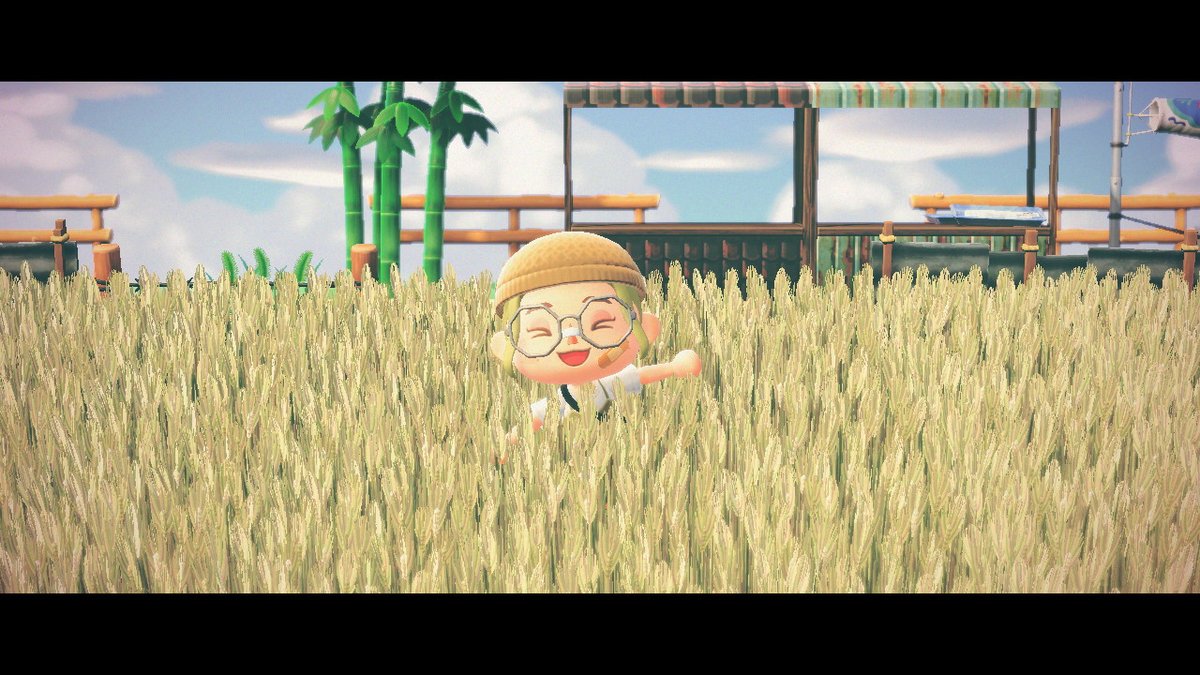 RiAcnh's tweet photo. ♡ wheat field! #AnimalCrossing #ACNH #NintendoSwitch https://t.co/jQOpstaCr4