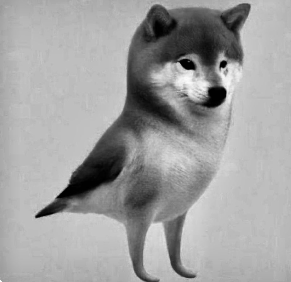 EvasTeslaSPlaid's tweet image. Like better?