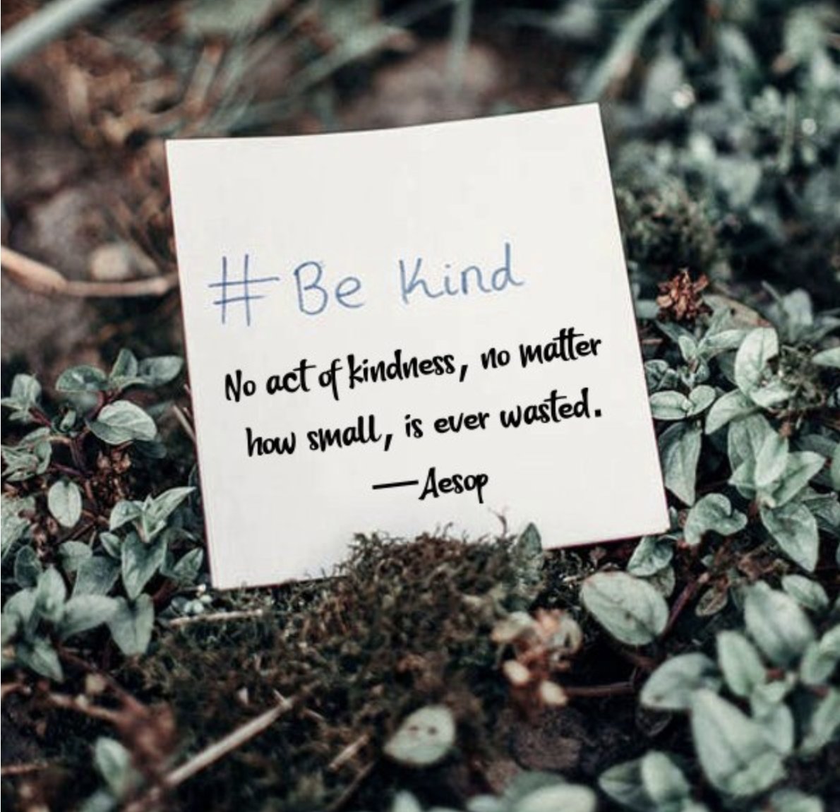 #BeKind
'No Act of kindness,
 no matter how small,
 is ever wasted.'
 ~Aesop

#DefineYourWhy #rethink_learning #teachpos #BuildHOPEedu #joyfulLeaders #gratefulEDU @NowakRo @Shapiro_WTHS @Celyendo @RitaWirtz @donna_mccance @mcdonald_kecia @JillDuBois22 @LiviaChanL @Principal_H