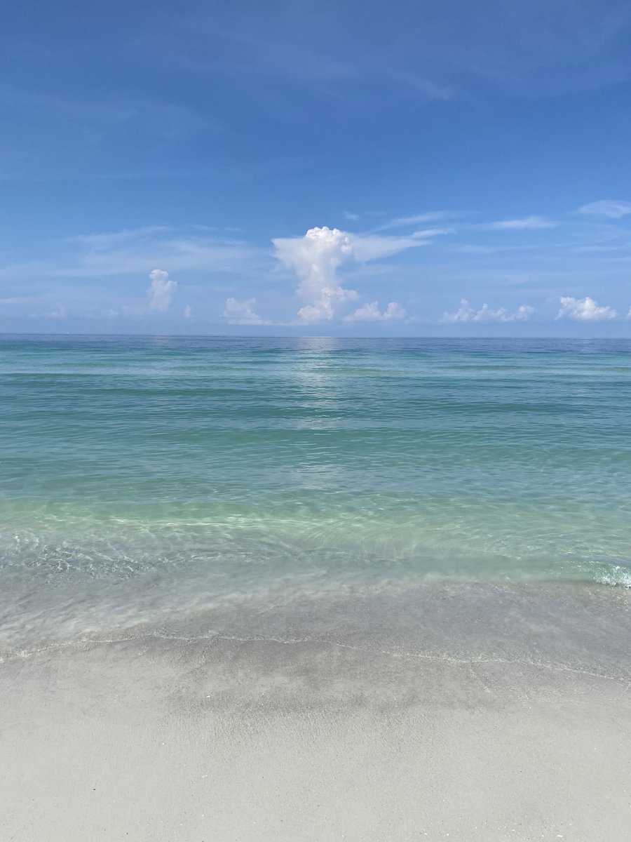 Island Unique tweet media