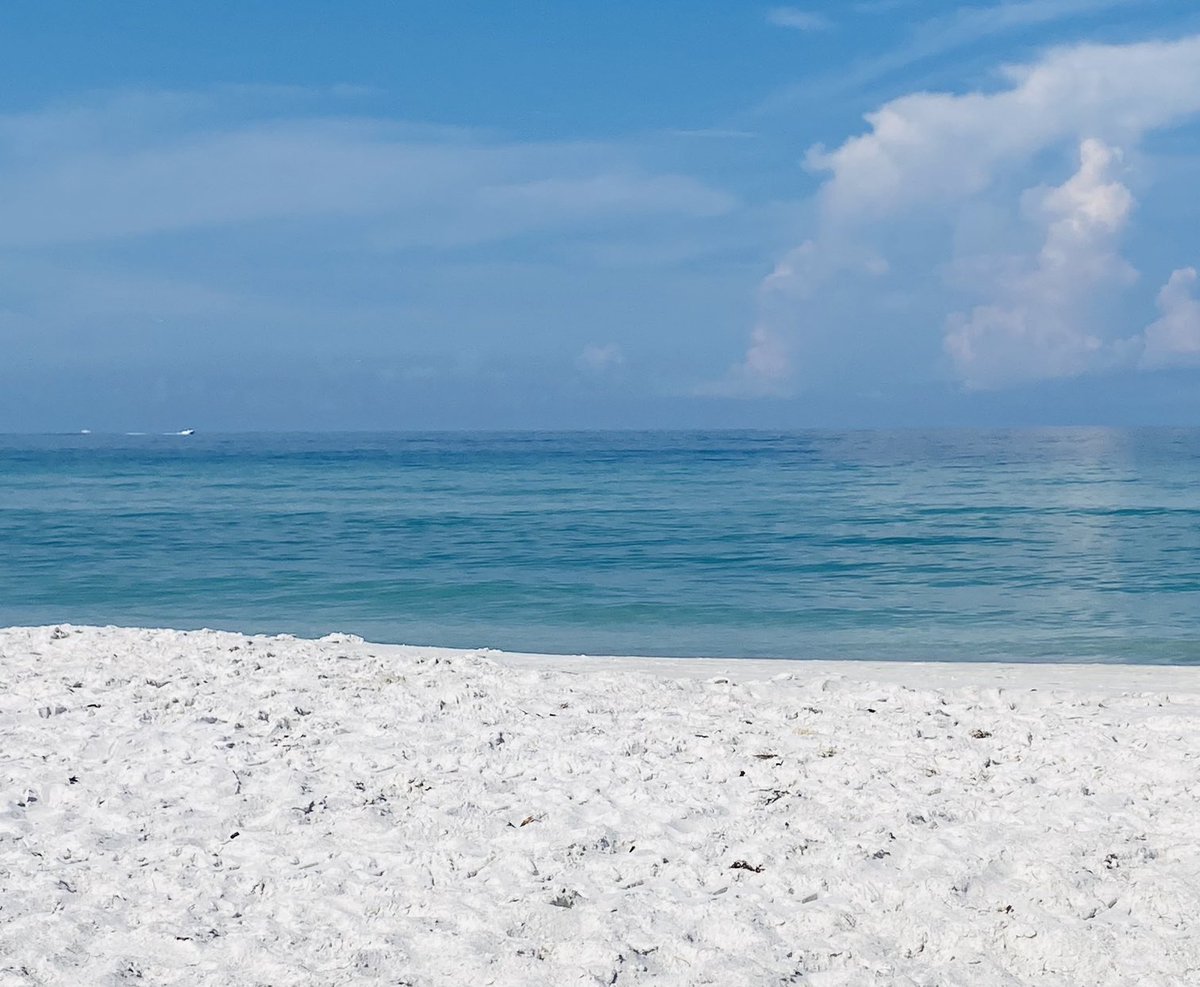 Island Unique tweet media