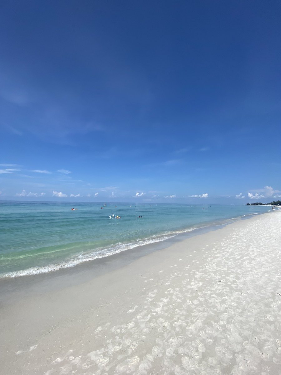 Island Unique tweet media