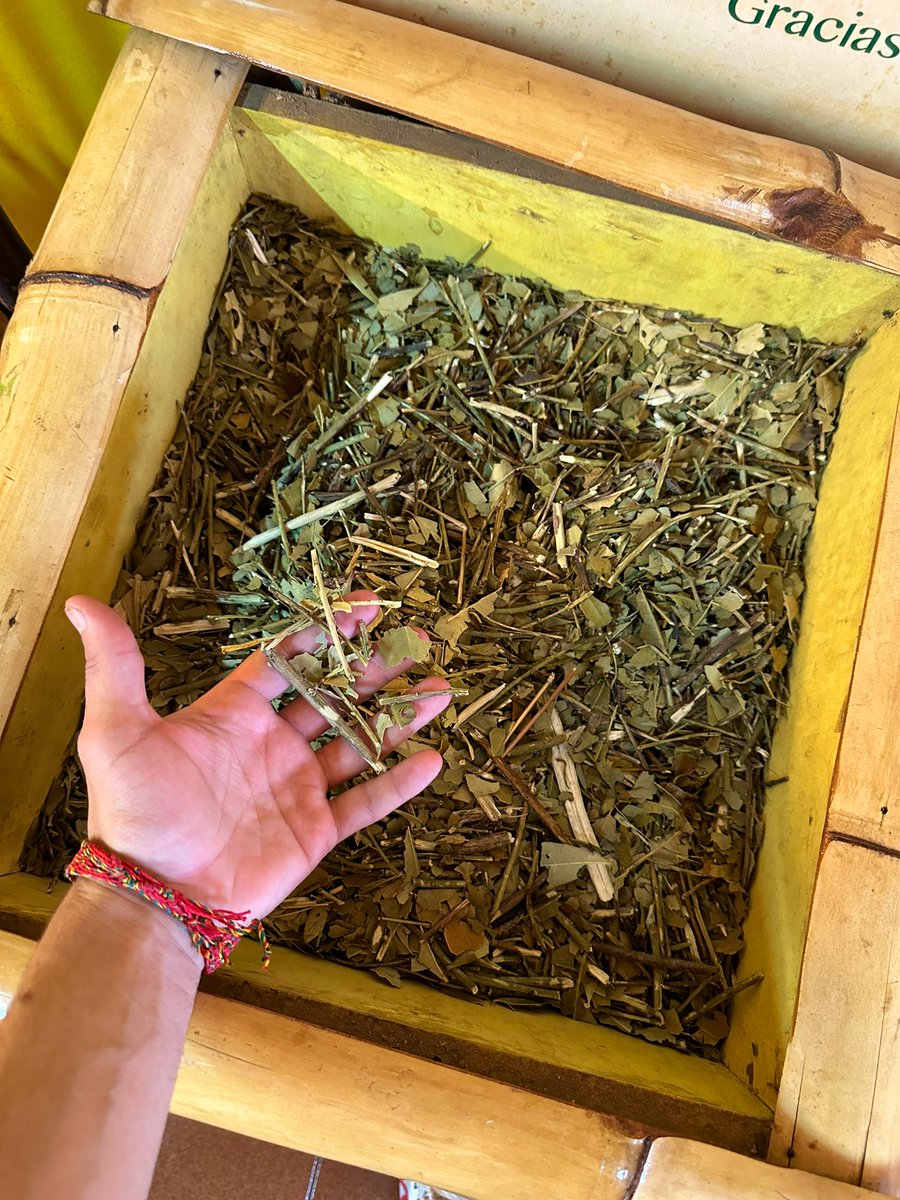 gui10road's tweet photo. La YERBA MÁS VENDIDA DEL PAÍS se produce en este pueblo🧉🇦🇷

Bienvenidos/as a la CUNA DEL COOPERATIVISMO, bienvenidos/as a COLONIA LIEBIG 🤍 https://t.co/GQNRGQ8RDQ