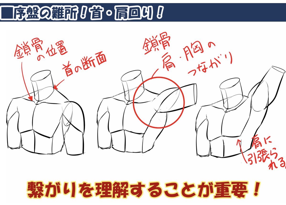 palmie_oekaki's tweet photo. 難所❗️首・肩回りをまとめました💁‍♀️💁‍♂️
 https://t.co/GS22SzWl42 https://t.co/mMq6NsbaJb