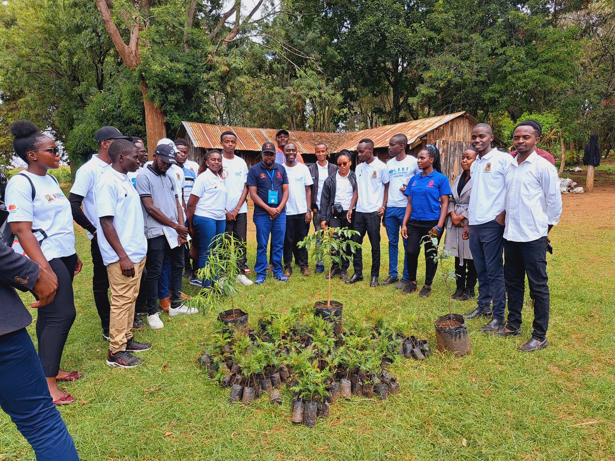 As we celebrate #KeMYAat2 we join Kenyans government mission towards planting 15Billion trees through the #JazaMiti initiative. We also join #ZeroMalaria mission towards fighting malaria in Kenya.
#InternationalYouthDay
@muriithiben
@ALMA2030
@MalariaYouthKE
@Egertonuniversity