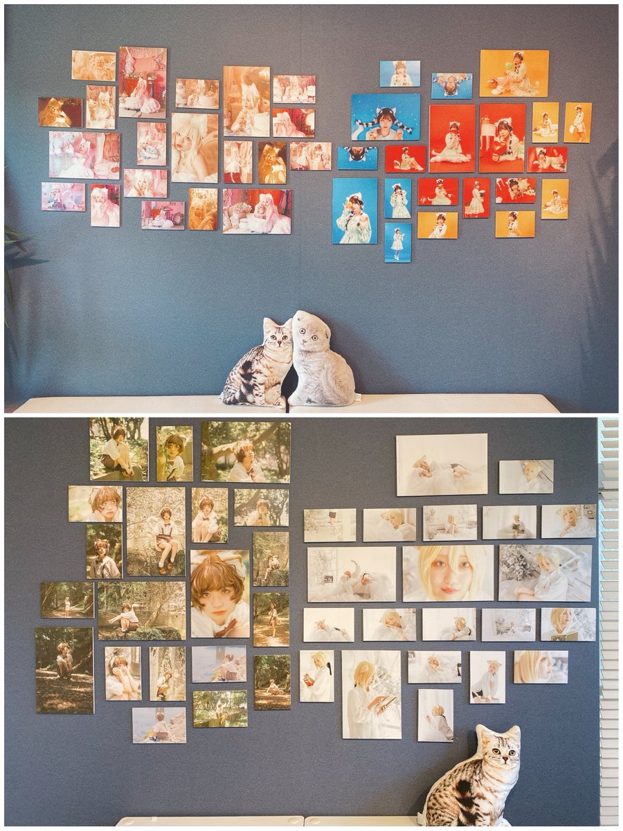 kirrrrra_0280's tweet photo. うみさんとにのんさんの写真展、行ってきました〜！🌼*･🐈🐾
おふたりの世界観が存分に味わえる空間でした🥹🤍可愛いからかっこいいまで色んな表情の猫ちゃんズが見られます……！
是非皆さん行ってみてください〜！💐雑貨屋さんも素敵です！（しっかりワッペンお迎え💓🐾）
 #あの猫の足跡 https://t.co/Bm5AsORZxz