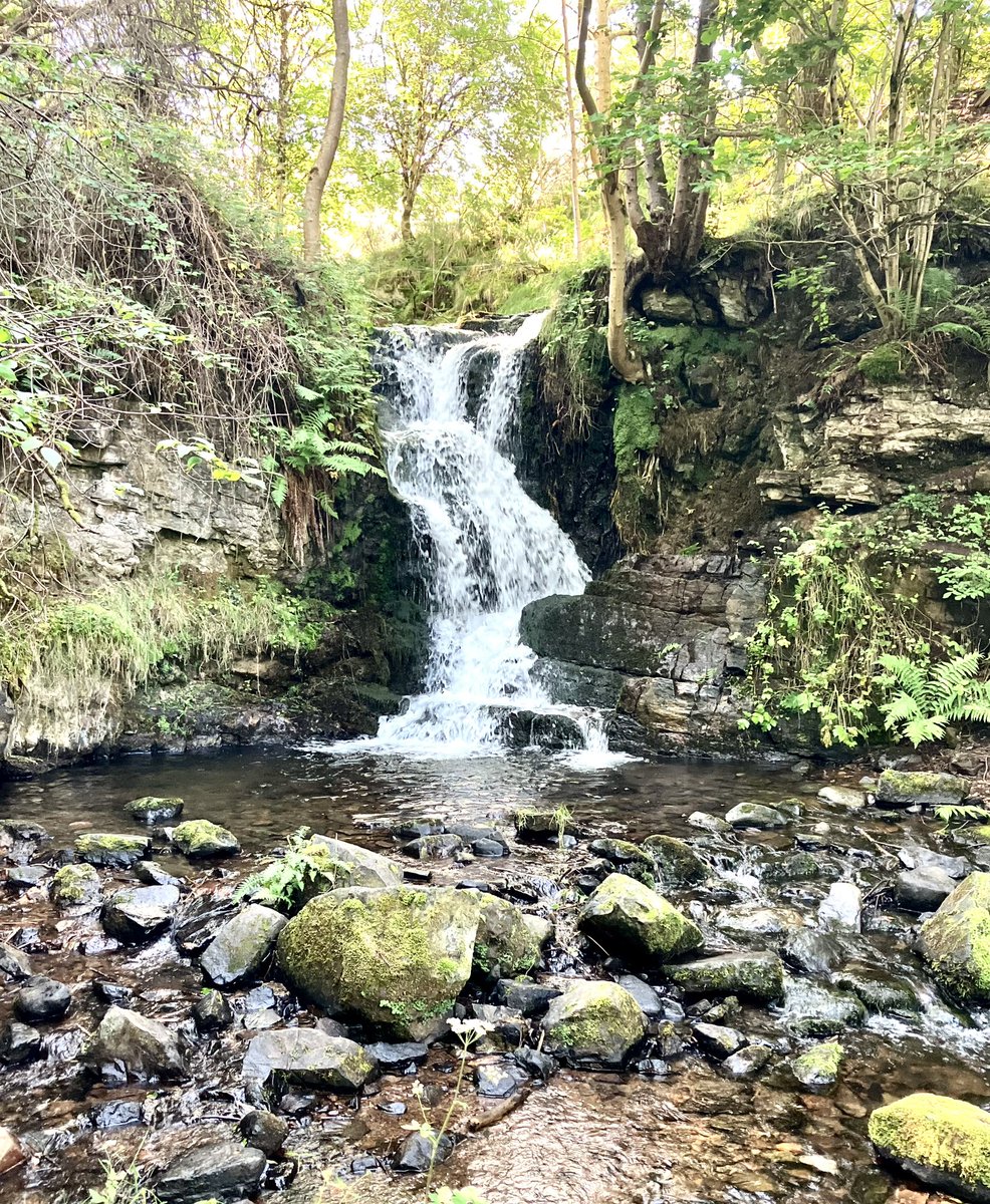 ms_mcd90's tweet photo. Sunny Sunday morning walk. https://t.co/TwwGnGuTHZ