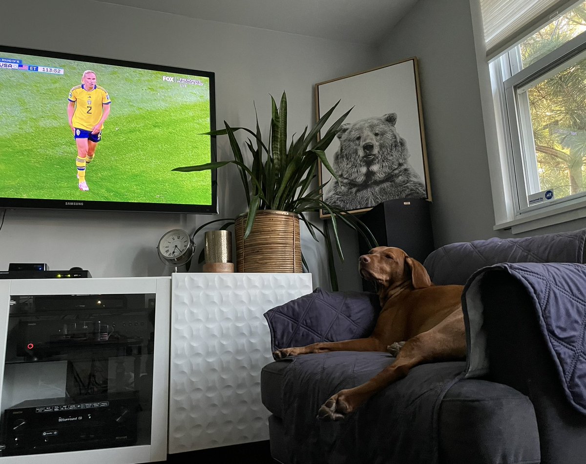 Agata Dera tweet media