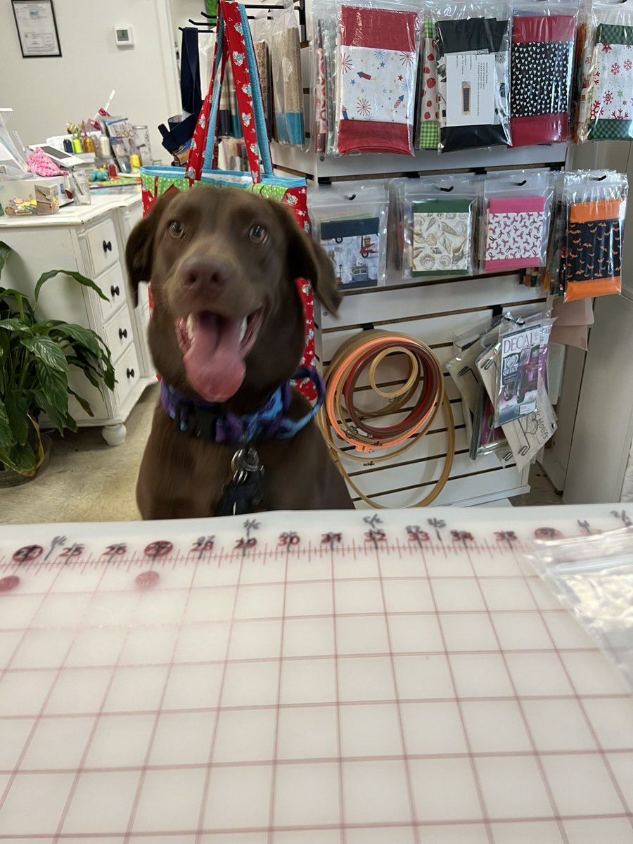 materialthingsv's tweet photo. My shop cutting buddy https://t.co/GS9cROpdVo