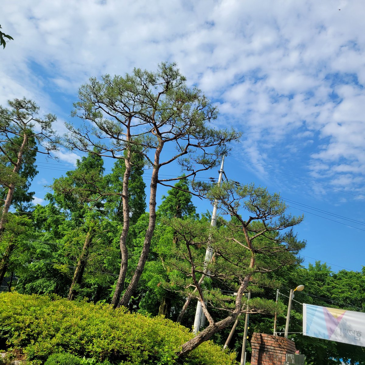 AfterL7_tte50's tweet photo. 풍경
저희 학교 밖에 없네요 https://t.co/Cx1hg1YOgJ