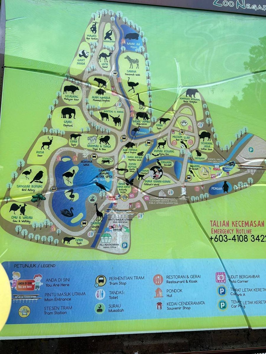 EVAdftjl1's tweet photo. What's in the zoo?
Pandas, elephants, orangutans. https://t.co/PFQsa9mV6W