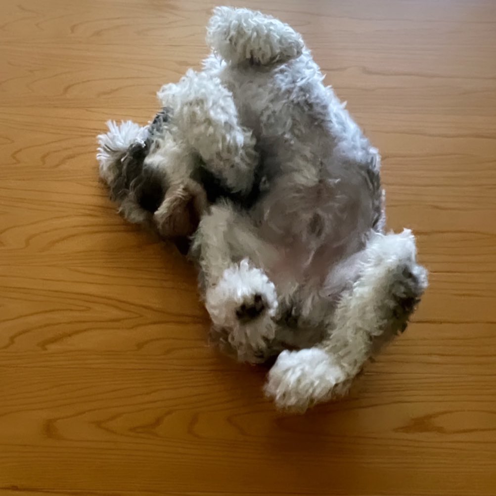 見事な寝相です