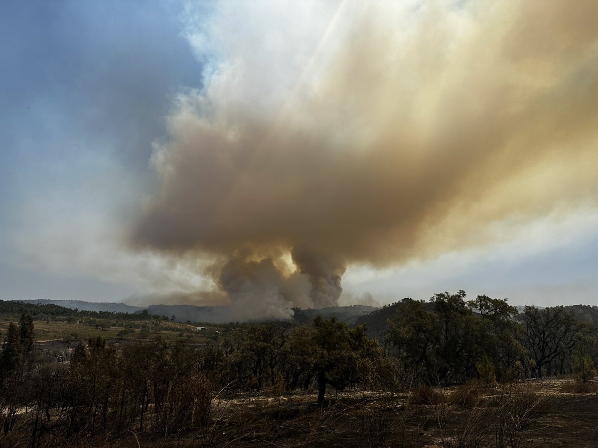 Customer_First_'s tweet image. #IROdemira from N120 near S.Miguel. Fire &amp;amp; smoke are back 😢. #Portugal #Fogo #incendio #baiona #wildfires