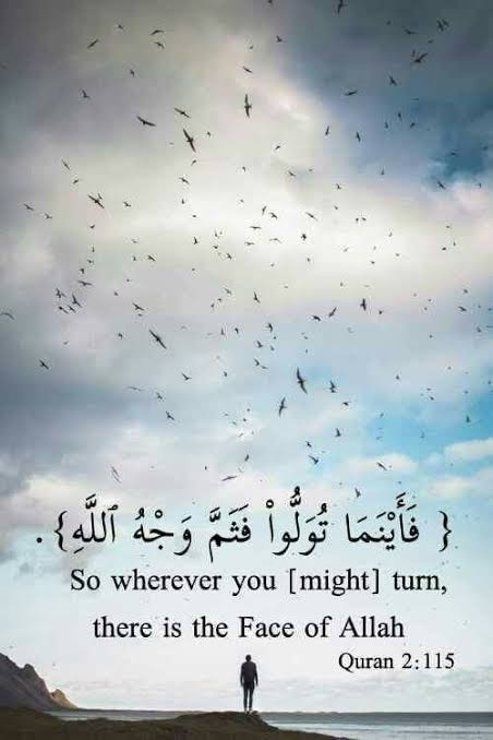 imranchannar's tweet photo. Look around in every direction,
Look at the people you know,the shining, the simple, the sad, the angry, the gentle, the kind, the arrogant. 
Everything is a face, a reflection, of the Divine.
Whatever you see, within or without, is a manifestation of God. https://t.co/BWRoopAeSh