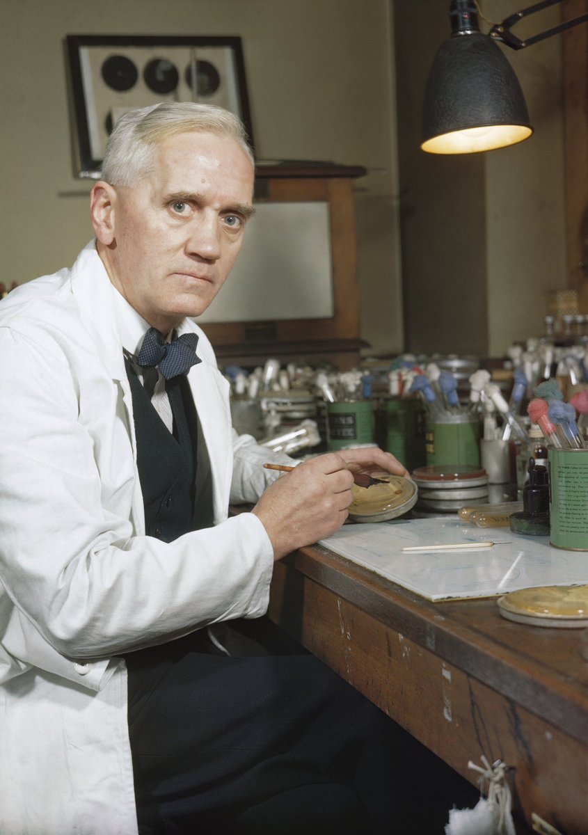 Tarihte bugün (6 Ağustos 1881), penisilini keşfederek antibiyotikler çağını başlatan İskoç bakteriyolog Sir Alexander Fleming’in doğum günü. #AlexanderFleming