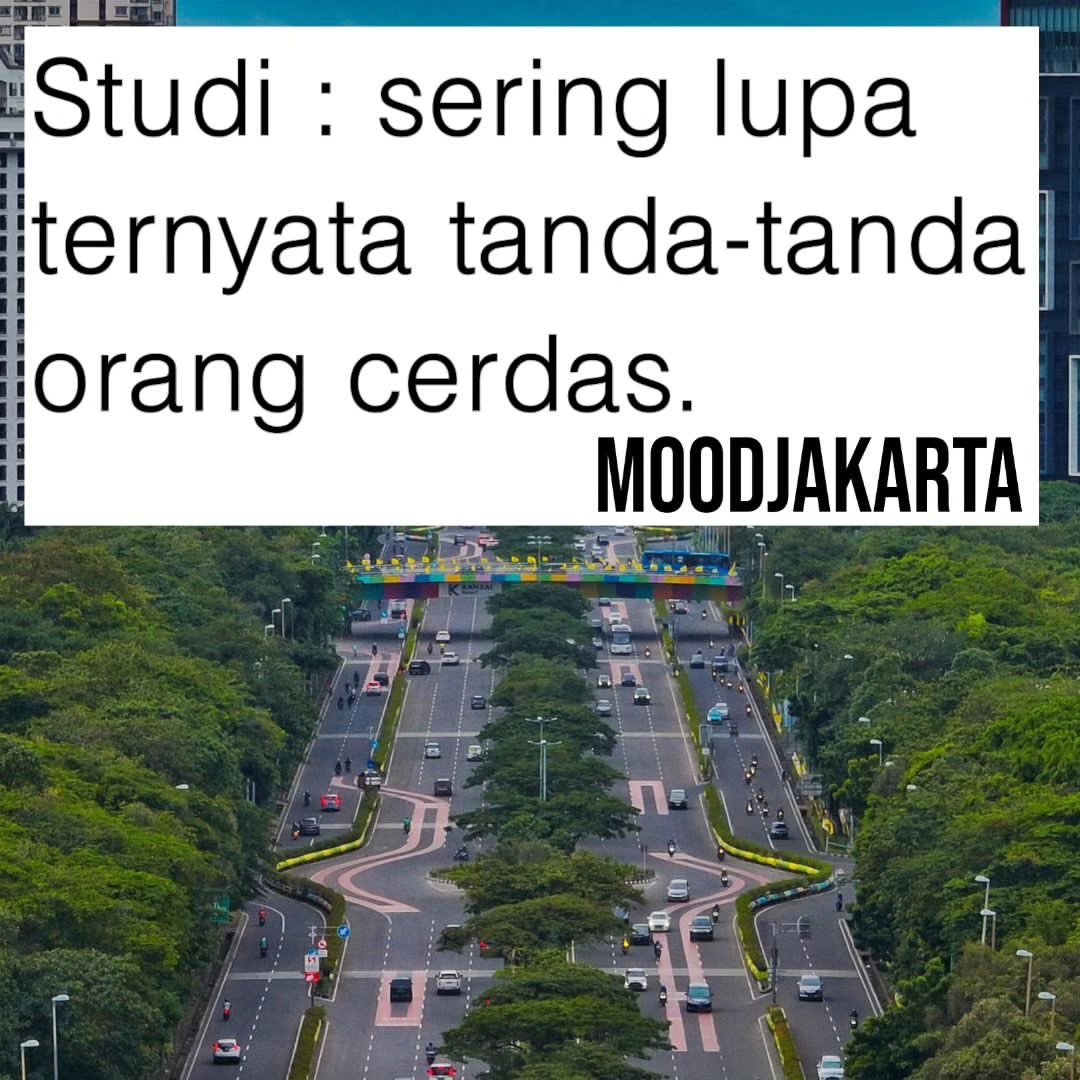 Penelitian yang dilakukan Toronto University, diberitakan oleh Independent UK, sering lupa sebenarnya bisa menjadi tanda kecerdasan seseorang.

Penemuan menunjukkan bahwa, ingatan manusia mengoptimalkan pengambilan keputusan dengan hanya mengingat informasi berharga dan melupakan