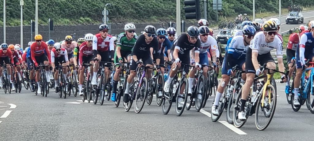 Karen McCall tweet media